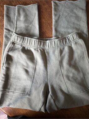 Aerie Cropped pants